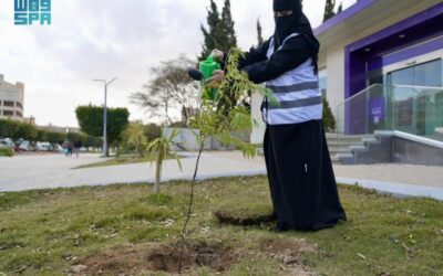مبادرة تستهدف زراعة 100 ألف شجرة بالباحة