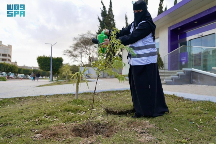 مبادرة تستهدف زراعة 100 ألف شجرة بالباحة