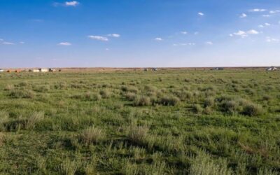 فياض”زبالا الأثرية”.. لوحة فنية ترسمها الأمطار وتنعشها الطلعات البرية