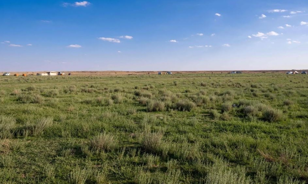 فياض”زبالا الأثرية”.. لوحة فنية ترسمها الأمطار وتنعشها الطلعات البرية