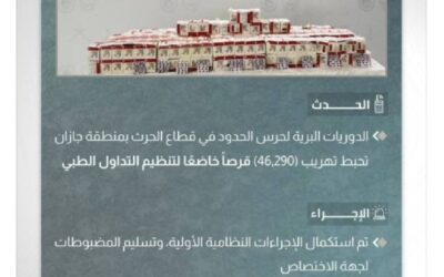 حرس الحدود يحبط تهريب (46,290) قرصًا خاضعًا لتنظيم التداول الطبي