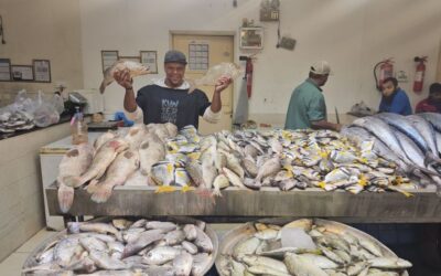 الرياح والتصدير وقوة الشراء ترفع أسعار الأسماك بالشرقية إلى 100%