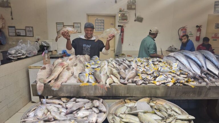 الرياح-والتصدير-وقوة-الشراء-ترفع-أسعار-الأسماك-بالشرقية-إلى-100%