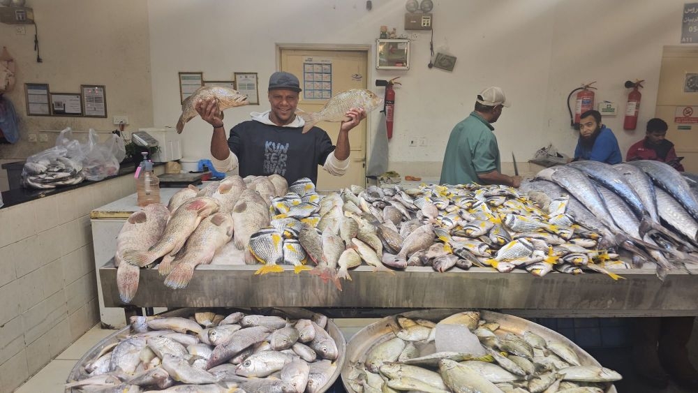 الرياح والتصدير وقوة الشراء ترفع أسعار الأسماك بالشرقية إلى 100%