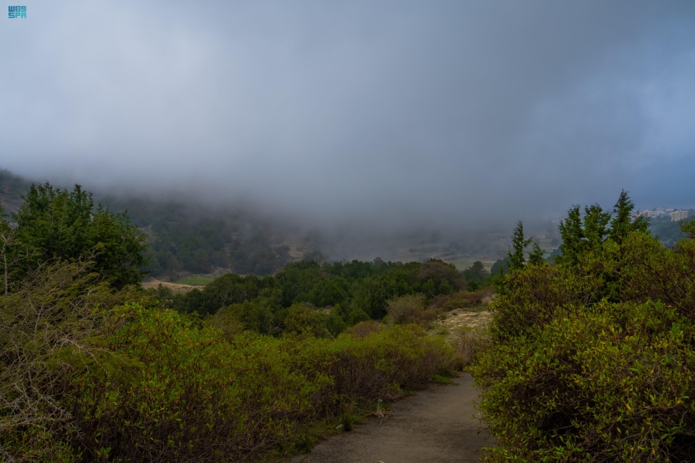 لوحة طبيعية مميزة.. أجواء ضبابية كثيفة تزين جبال الباحة