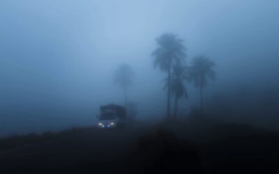 حتى 8 صباحًا.. “إنذار أحمر” من ضباب كثيف على أجزاء من الشرقية