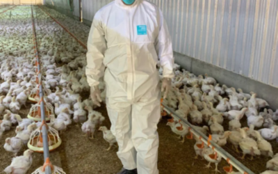 وقاء يعزّز إجراءاته في الأمن الحيوي عبر تأهيل 263 مراقبًا لدعم استدامة الأمن الغذائي