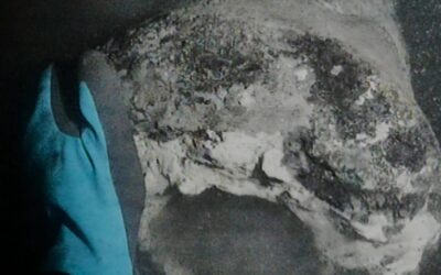 اكتشاف سفينة حربية دنماركية بعد 225 عامًا من غرقها