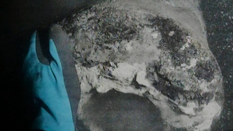 اكتشاف-سفينة-حربية-دنماركية-بعد-225-عامًا-من-غرقها