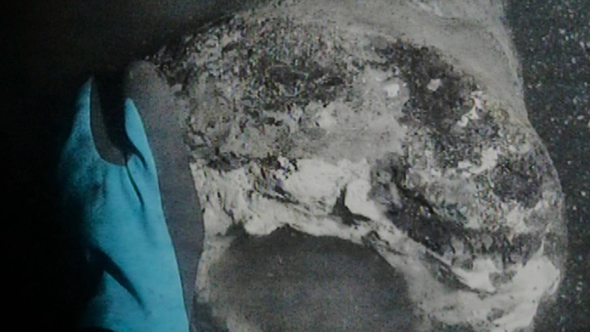 اكتشاف سفينة حربية دنماركية بعد 225 عامًا من غرقها