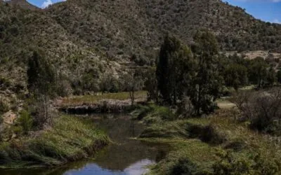 الباحة.. الأمطار تُكسي وادي ضرك حلة ربيعية زاهية