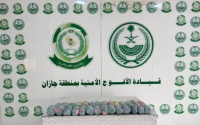 الأفواج الأمنية بجازان تُحبط تهريب (29) كيلو جرامًا من القات المخدر