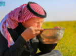 حليب الإبل.. مشروب الربيع في الحدود الشمالية