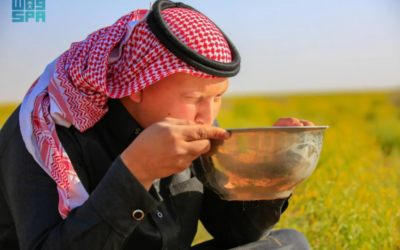 حليب الإبل.. مشروب الربيع في الحدود الشمالية