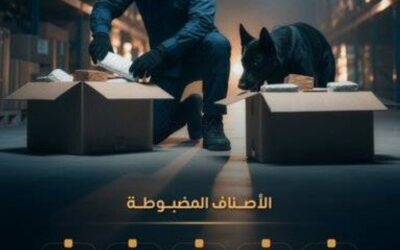 خلال أسبوع.. المنافذ الجمركية تسجل 748 حالة ضبط للممنوعات