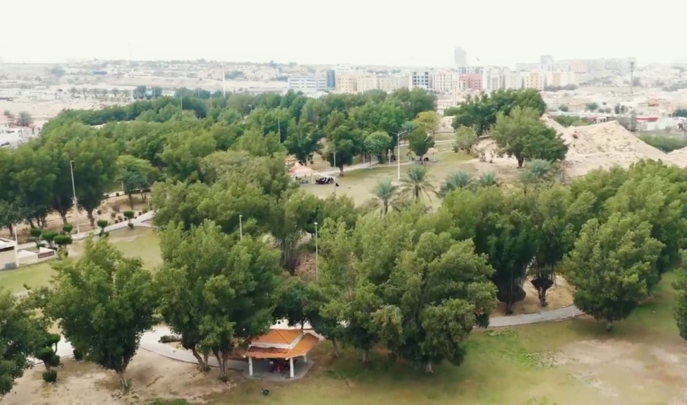 مدينة الخبر.. تطور متسارع وتناغم بين التنمية وجمال الواجهة البحرية