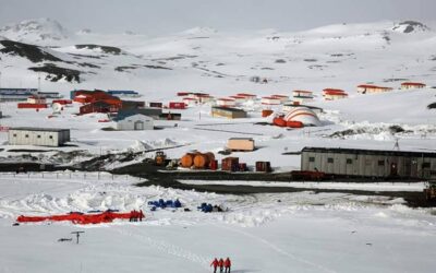 اكتشاف واحة جديدة في القارة القطبية الجنوبية