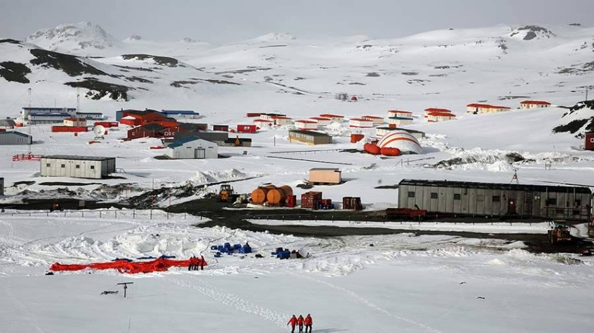 اكتشاف واحة جديدة في القارة القطبية الجنوبية