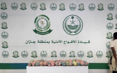 الأفواج الأمنية تقبض على مواطن لترويجه (12) كيلو جرامًا من القات المخدر