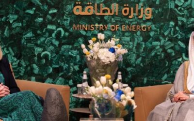 تعاون سعودي نمساوي في مجال الطاقة والاقتصاد