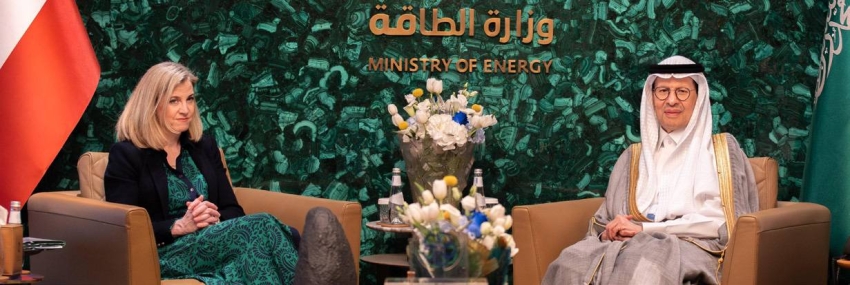 تعاون سعودي نمساوي في مجال الطاقة والاقتصاد