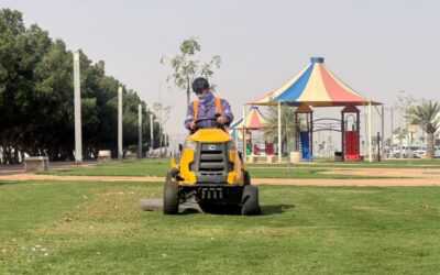 مسطحات خضراء وألعاب أطفال.. زراعة 85 ألف زهرة و1365 شجرة ببقيق