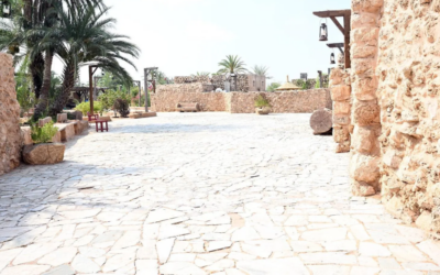 جزر فرسان.. درة البحر الأحمر ووجهة رائدة للسياحة المستدامة