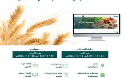 الأمن الغذائي: جاهزون لاستلام القمح المحلي عبر منصة محصولي