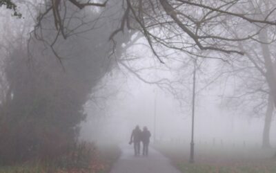 ضباب وأمطار.. الأرصاد يصدر إنذارا برتقالي تنبيها من طقس الشرقية