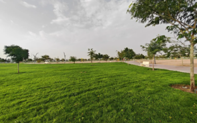 حديقة الأمير تركي بن هذلول بنجران.. واحة بيئية وترفيهية تجذب الزوَّار والمتنزّهين