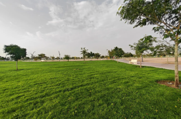 حديقة-الأمير-تركي-بن-هذلول-بنجران.-واحة-بيئية-وترفيهية-تجذب-الزوَّار-والمتنزّهين