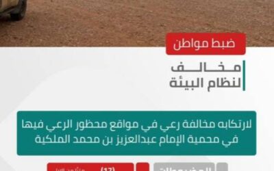 الأمن البيئي يضبط مواطنًا لارتكابه مخالفة رعي في مواقع محظور الرعي فيها