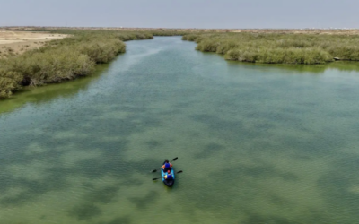 رياضة التجديف بالكاياك تجذب زوار فعاليات ليالي الحريد 22 في جزر فرسان