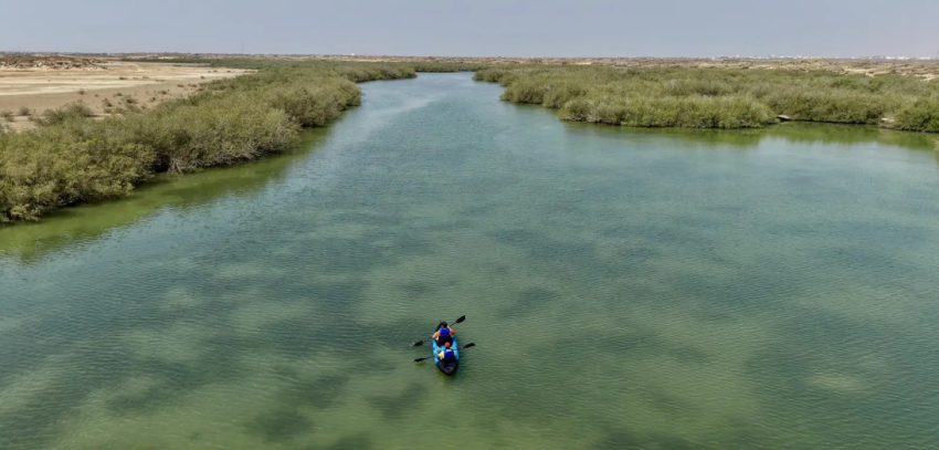 رياضة التجديف بالكاياك تجذب زوار فعاليات ليالي الحريد 22 في جزر فرسان