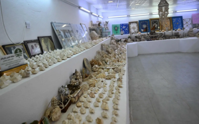 المتحف البحري بفرسان.. نافذة على كنوز البحر الأحمر وإرث المحافظة العريق