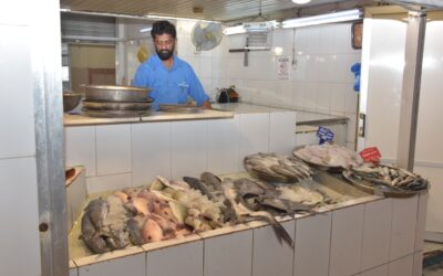 عاجل: «الكنعد» بـ150 ريالًا.. التقلبات الجوية ترفع أسعار الأسماك 100% بالشرقية