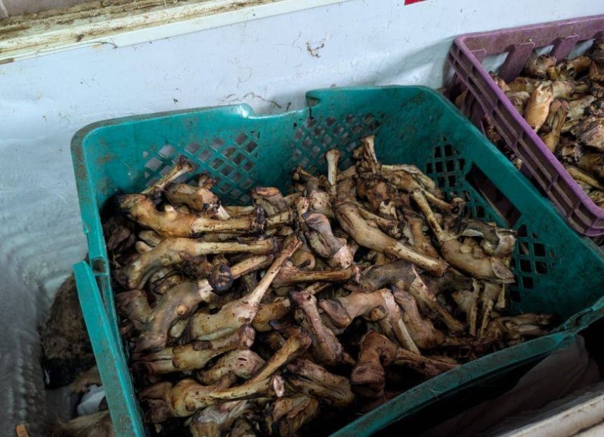 أمانة جدة تُتلف (3150) كجم من ذبائح فاسدة وتُغلق موقعين جنوب المحافظة