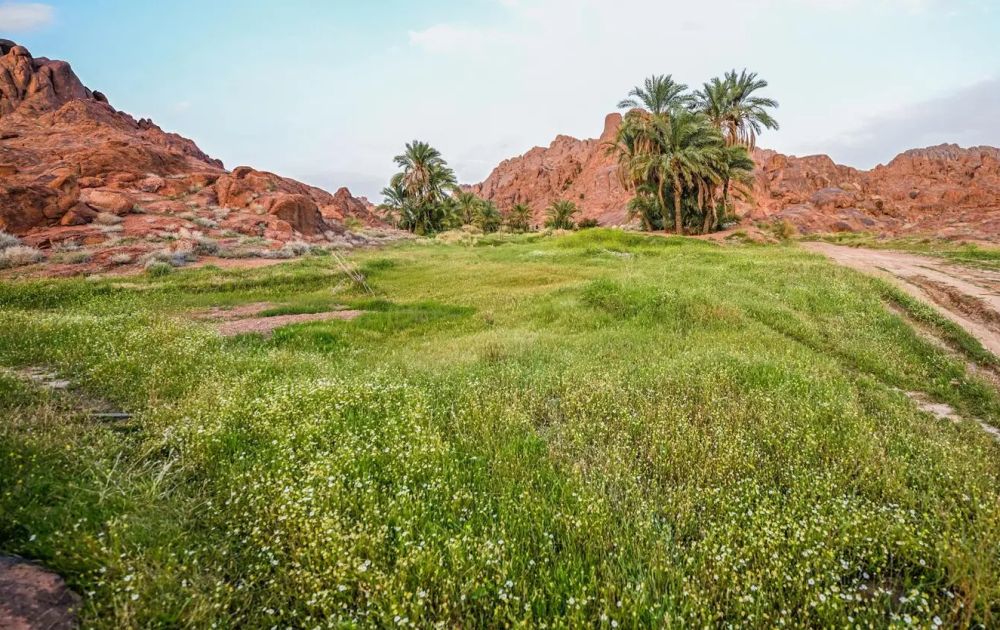 دراسة تكشف: أصوات الطبيعة المألوفة تؤثر إيجابيًا على الحالة النفسية