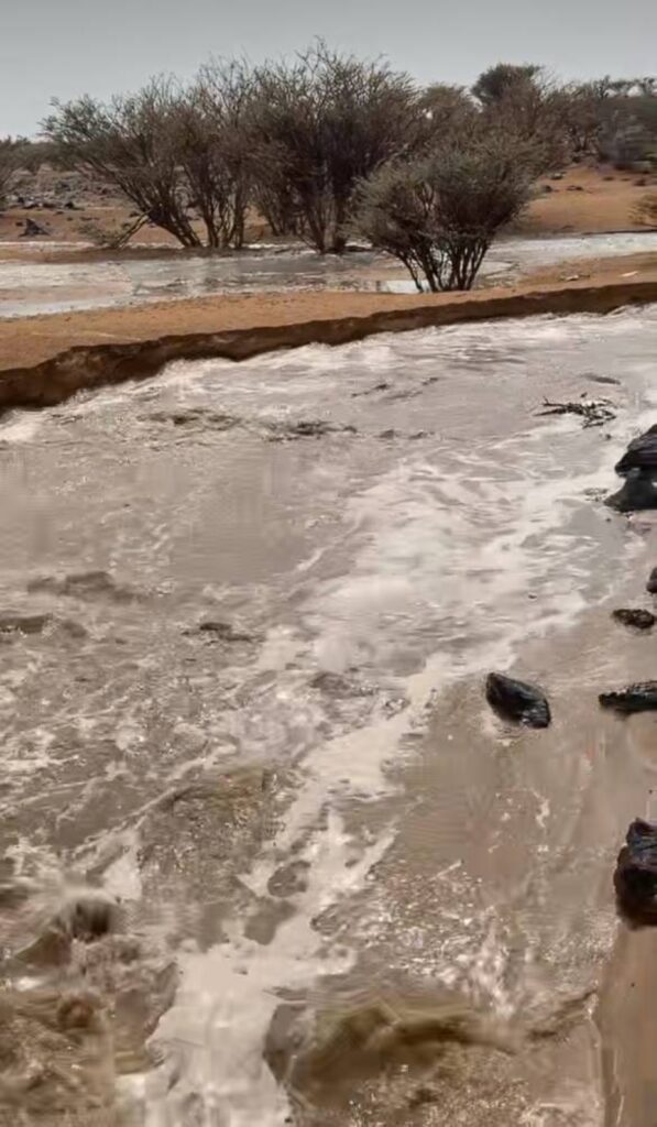 أمطار غزيرة على رنية تعطل طريق وادي الدواسر