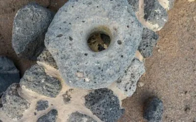 صور | قصر خراش بفيد الأثرية.. دور تاريخي في حماية القوافل بحائل