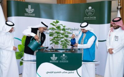 «مكتب التشجير».. مبادرة جديدة لزيادة الرقعة الخضراء بالشرقية
