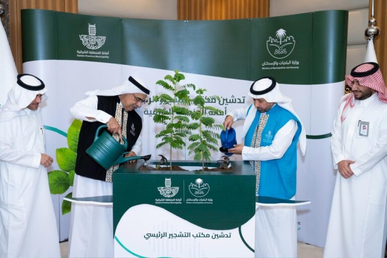 «مكتب-التشجير».-مبادرة-جديدة-لزيادة-الرقعة-الخضراء-بالشرقية