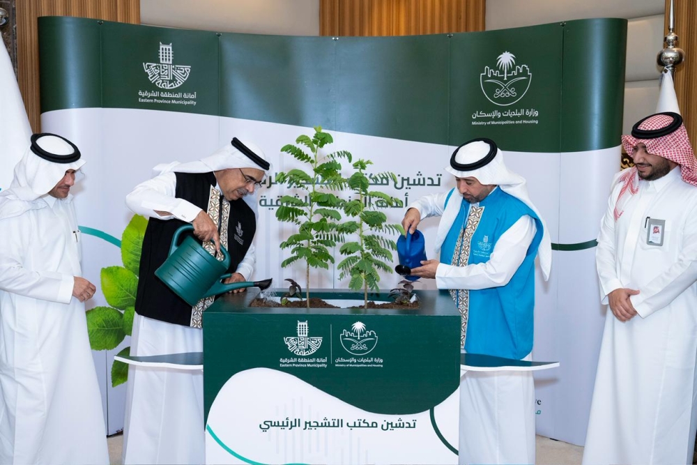 «مكتب التشجير».. مبادرة جديدة لزيادة الرقعة الخضراء بالشرقية