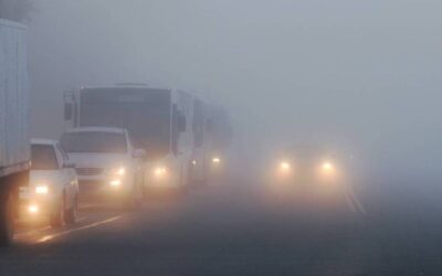 الأرصاد: موجة ضباب وهطول أمطار خفيفة إلى متوسطة على الشرقية