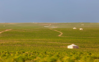 تنوّع بيئي وثروة حيوانية يعزّزان الحراك السياحي في الحدود الشمالية
