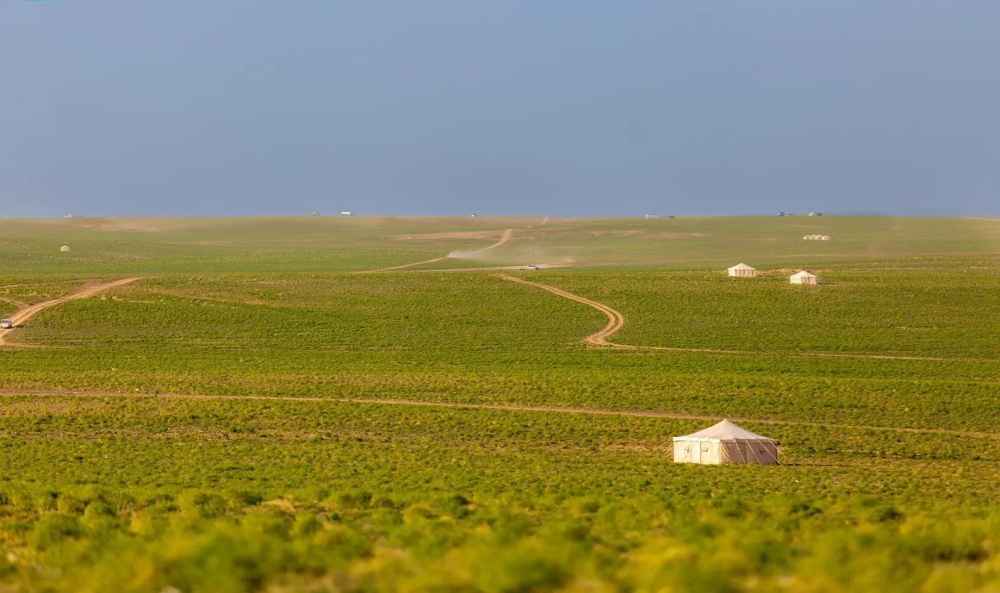 تنوّع بيئي وثروة حيوانية يعزّزان الحراك السياحي في الحدود الشمالية