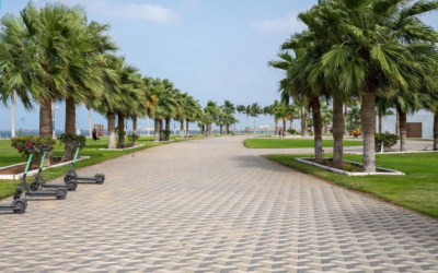 واجهة المانجروف في جيزان.. أيقونة ساحلية جديدة تُعزِّز جاذبية جازان السياحية