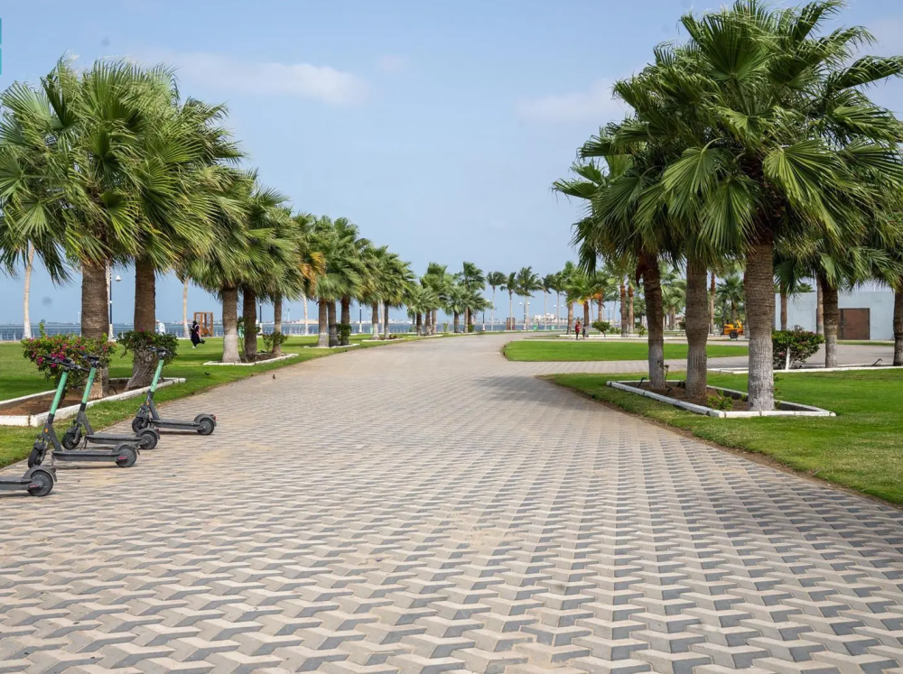 واجهة المانجروف في جيزان.. أيقونة ساحلية جديدة تُعزِّز جاذبية جازان السياحية