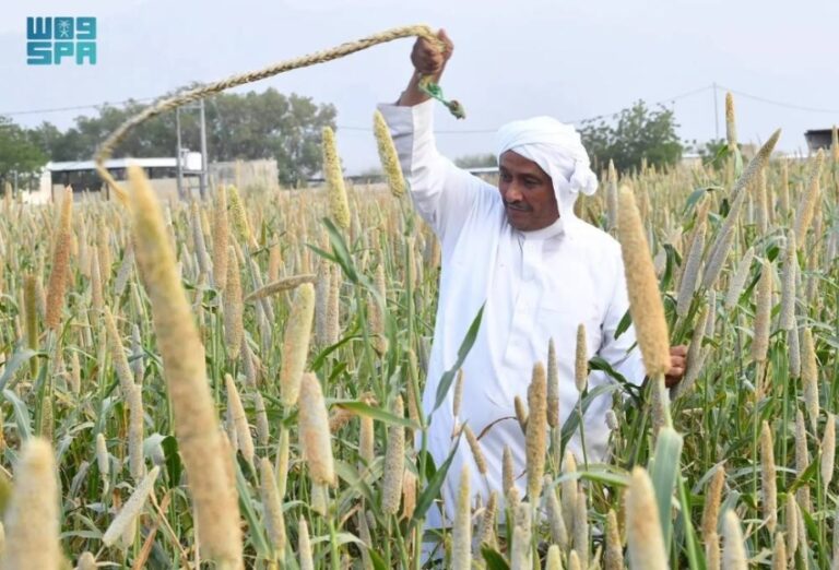 الزراعة-في-عسير.-تنوّع-جغرافي-يعزّز-الإنتاج-ويواكب-مستهدفات-الاستدامة