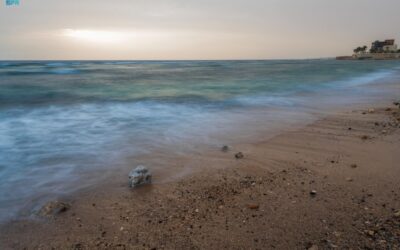 صور | التكوينات الصخرية.. تناغم بصري مبهر على سواحل محافظة الوجه